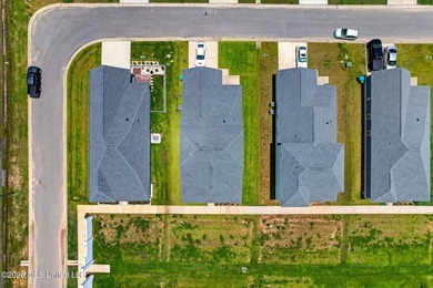 With new construction going up all around Savannah Estates, it - photo 39
