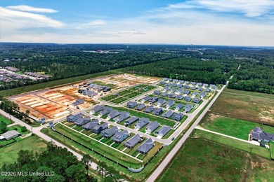 With new construction going up all around Savannah Estates, it - photo 44