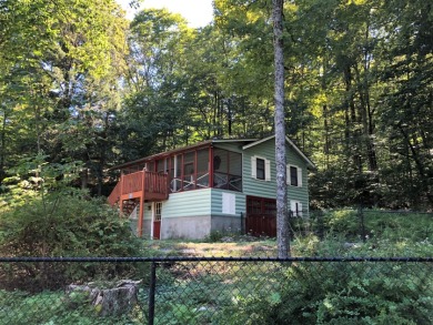 Mountain Lake - Sullivan County Home For Sale in Smallwood New York