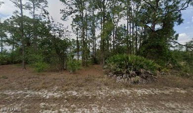 Lehigh Acres Area Lot For Sale in Lehigh Acres Florida