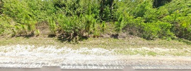 VACANT LAND = Build your New Home in desirable area of Palm Bay= - photo 3