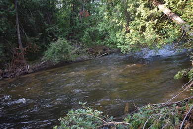 (private lake, pond, creek) Lot For Sale in Wolverine Michigan