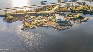 Selling a 7 + acres industrial waterfront property with - photo 1