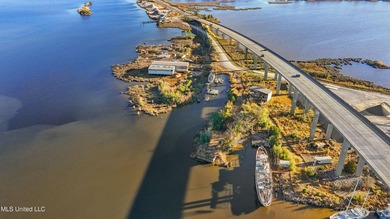 Selling a 7 + acres industrial waterfront property with - photo 5