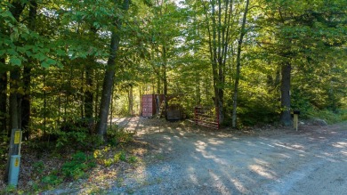 Lake Acreage For Sale in Avon, Maine