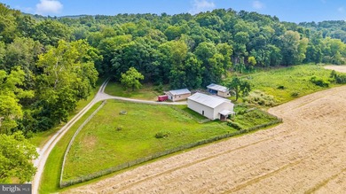 ONCE-IN-A-LIFETIME 257+/- ACRE PROPERTY IN WASHINGTON COUNTY - photo 8