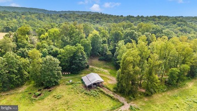 ONCE-IN-A-LIFETIME 257+/- ACRE PROPERTY IN WASHINGTON COUNTY - photo 10
