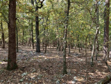 Lake Ouachita Acreage For Sale in Mount Ida Arkansas