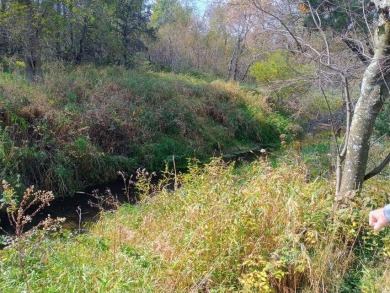 (private lake, pond, creek) Acreage For Sale in Custer Michigan