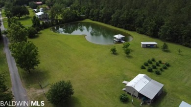 Styx River  Acreage For Sale in Robertsdale Alabama