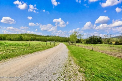 Welcome to an extraordinary opportunity in Salt Lick - photo 19