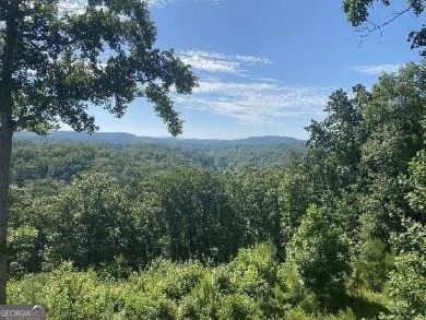 Lake Lot For Sale in Ellijay, Georgia