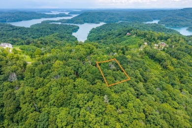 Lake Lot For Sale in Hilham, Tennessee