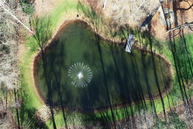 A most private landscaped oasis inside I-285 in the City of - photo 16