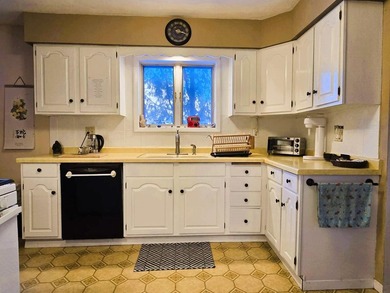 Driftless Region Gem: 4 BR, 2 Bath, 1916 terra cotta block - photo 16