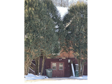 Driftless Region Gem: 4 BR, 2 Bath, 1916 terra cotta block - photo 31