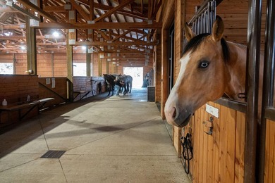 Horseman's Dream of Central Oregon is a 35.21+/- acre estate w/ - photo 34