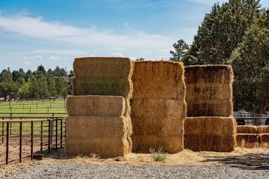 Horseman's Dream of Central Oregon is a 35.21+/- acre estate w/ - photo 39