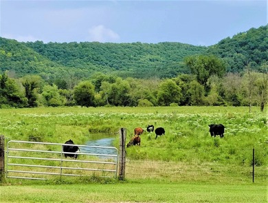 Driftless Region Gem: 4 BR, 2 Bath, 1916 terra cotta block - photo 39