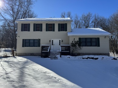 Towamensing Trails Lake Home For Sale in Albrightsville Pennsylvania