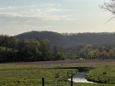 Driftless Region Gem: 4 BR, 2 Bath, 1916 terra cotta block - photo 43