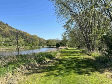 Driftless Region Gem: 4 BR, 2 Bath, 1916 terra cotta block - photo 50