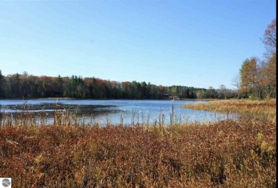 Lake Acreage For Sale in Kalkaska, Michigan