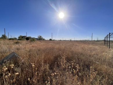 Lake Lot Off Market in Fritch, Texas