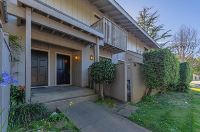 One of the largest updated Arroyo Carmel residences currently - photo 4