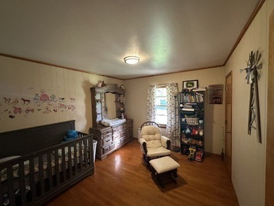 Nice 3 BR 1BH brick home with full size basement on 9.67 acres - photo 19