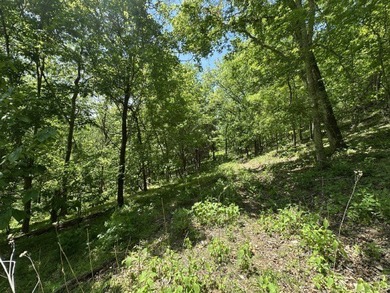 Nice 3 BR 1BH brick home with full size basement on 9.67 acres - photo 28