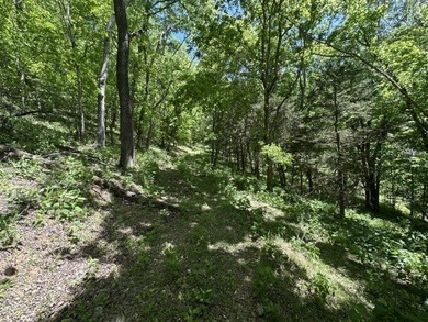 Nice 3 BR 1BH brick home with full size basement on 9.67 acres - photo 29