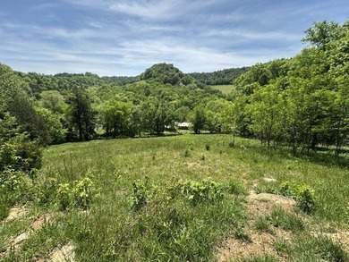 Nice 3 BR 1BH brick home with full size basement on 9.67 acres - photo 30