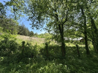 Nice 3 BR 1BH brick home with full size basement on 9.67 acres - photo 32