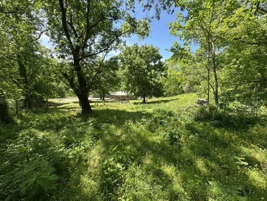 Nice 3 BR 1BH brick home with full size basement on 9.67 acres - photo 35