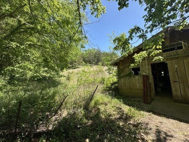 Nice 3 BR 1BH brick home with full size basement on 9.67 acres - photo 36