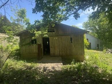 Nice 3 BR 1BH brick home with full size basement on 9.67 acres - photo 37