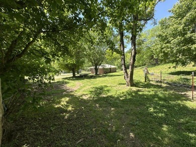 Nice 3 BR 1BH brick home with full size basement on 9.67 acres - photo 40