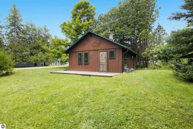 Lake Home For Sale in Central Lake, Michigan