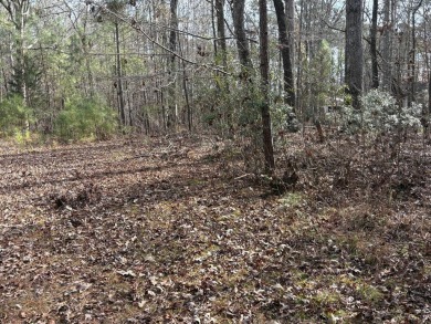 Lake Lot For Sale in Lincolnton, Georgia