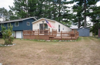 Lake Home For Sale in Lake, Michigan