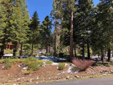 Shaver Lake Lot For Sale in Shaver Lake California