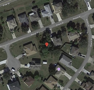 Lake Marion - Polk County Lot For Sale in Kissimmee Florida