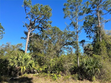 Northport Waterway Lakes and Canals Lot For Sale in North Port Florida