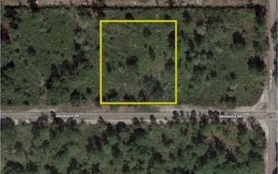 Lake Weohyakapka Lot For Sale in Indian Lake Estates Florida