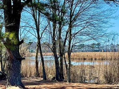 Large waterfront cul de sac lot in the community of Baywatch in - photo 12