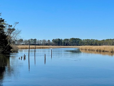 Large waterfront cul de sac lot in the community of Baywatch in - photo 18