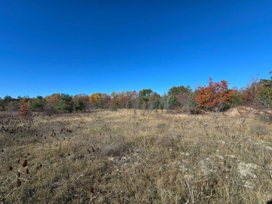 Otsego Lake Lot For Sale in Gaylord Michigan