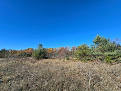 Otsego Lake Lot For Sale in Gaylord Michigan