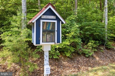 Nearly 1 acre of wooded land in the Morgan II community on the - photo 17